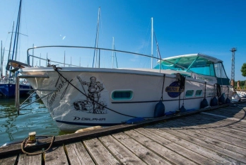 Sprzedam Nautika 1000 - zdjęcie 11