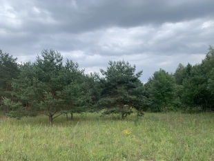 Uzbrojona działka nad jeziorem Kalwa z prawem do zabudowy - zdjęcie 13