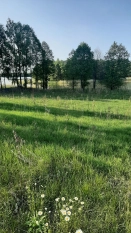 Uzbrojona działka nad jeziorem Kalwa z prawem do zabudowy - zdjęcie 8