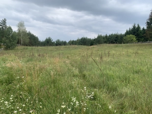 Uzbrojona działka nad jeziorem Kalwa z prawem do zabudowy - zdjęcie 6