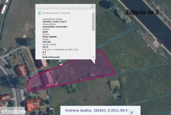 Działka na sprzedaż Jeglin - 3000 m2 - zdjęcie 5