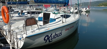 Antila 24  - zdjęcie 7