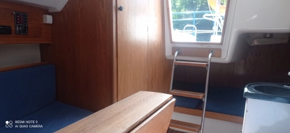 Antila 24  - zdjęcie 5