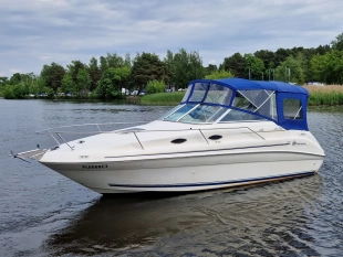 jacht, łódź Sea Ray Sundancer 240 Sport Cruiser 5.0 MPI V8 260KM - zdjęcie 2