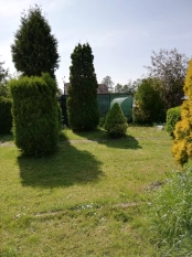 Sprzedam działkę ROD  - zdjęcie 7