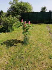 Sprzedam działkę ROD  - zdjęcie 6