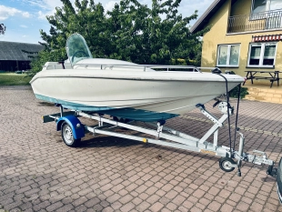 Motorówka Johnson 60KM + przyczepa Neptun Navy  - zdjęcie 9