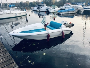 Motorówka Johnson 60KM + przyczepa Neptun Navy  - zdjęcie 6