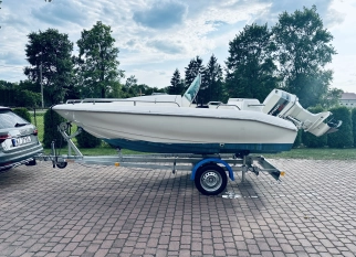 Motorówka Johnson 60KM + przyczepa Neptun Navy  - zdjęcie 1