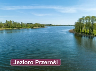 Sprzedam działkę z linią brzegową jeziora. Pow.  9670 m kw.  - Mazury Garbate - zdjęcie 10