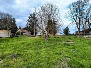 Działka siedliskowa w Zabielne 4 km od jeziora Roś - zdjęcie 9