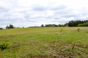 Działka z linią brzegową jeziora Wygryny w Wygrynach - zdjęcie 19