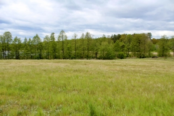 Działka z linią brzegową jeziora Wygryny w Wygrynach - zdjęcie 17