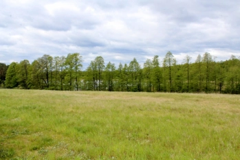 Działka z linią brzegową jeziora Wygryny w Wygrynach - zdjęcie 16