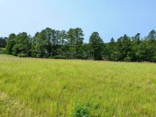 Działka z linią brzegową jeziora Wygryny w Wygrynach - zdjęcie 14