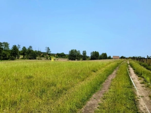 Działka z linią brzegową jeziora Wygryny w Wygrynach - zdjęcie 11