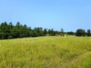 Działka z linią brzegową jeziora Wygryny w Wygrynach - zdjęcie 10