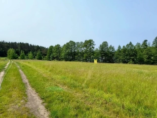 Działka z linią brzegową jeziora Wygryny w Wygrynach - zdjęcie 8