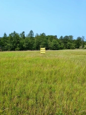 Działka z linią brzegową jeziora Wygryny w Wygrynach - zdjęcie 5