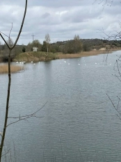 DZIAŁKA 29 ha GRZYBINY, DZIAŁDOWO, NIDZICA - zdjęcie 8