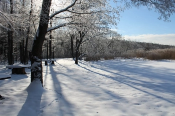 Działka rekreacyjna w Karwiku j. Seksty - zdjęcie 16