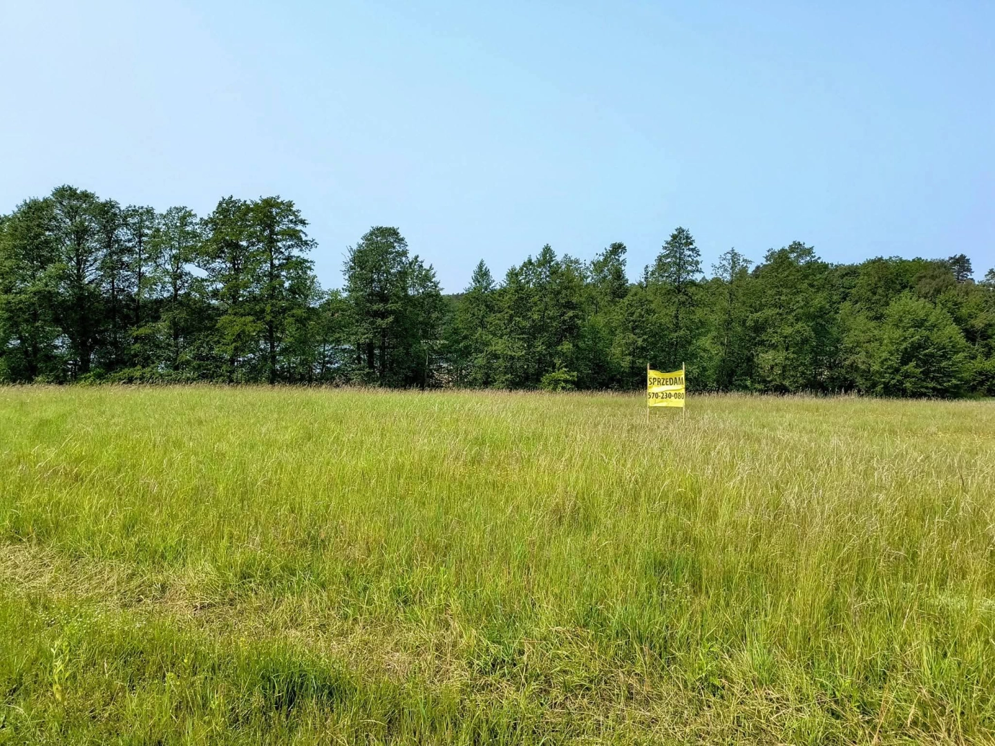 Działka z linią brzegową jeziora Wygryny w Wygrynach