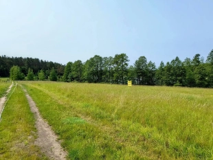 Działka z linią brzegową jeziora Wygryny w Wygrynach - zdjęcie 10