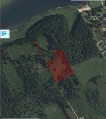 6 dużych działek rekreacyjnych 150 m od jeziora Roś - zdjęcie 2