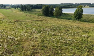 DZIAŁKA Z LINIĄ BRZEGOWĄ STERŁAWKI MAŁE - zdjęcie 6