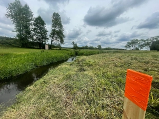 6km do J. Roś-Zabielne działka 3700 m²-warunki zabudowy dom jednorodzinny całoroczny - zdjęcie 12