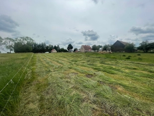 6km do J. Roś-Zabielne działka 3700 m²-warunki zabudowy dom jednorodzinny całoroczny - zdjęcie 10
