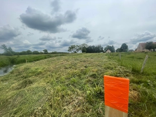 6km do J. Roś-Zabielne działka 3700 m²-warunki zabudowy dom jednorodzinny całoroczny - zdjęcie 9