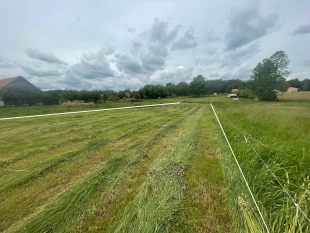 6km do J. Roś-Zabielne działka 3700 m²-warunki zabudowy dom jednorodzinny całoroczny - zdjęcie 7