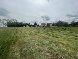 6 km do Jeziora Roś, Zabielne-działka 3 700 m², warunki zabudowy - zdjęcie 7