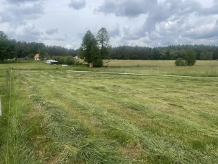 6 km do Jeziora Roś, Zabielne-działka 3 700 m², warunki zabudowy - zdjęcie 5