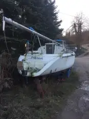 Tango famili 780 - zdjęcie 1