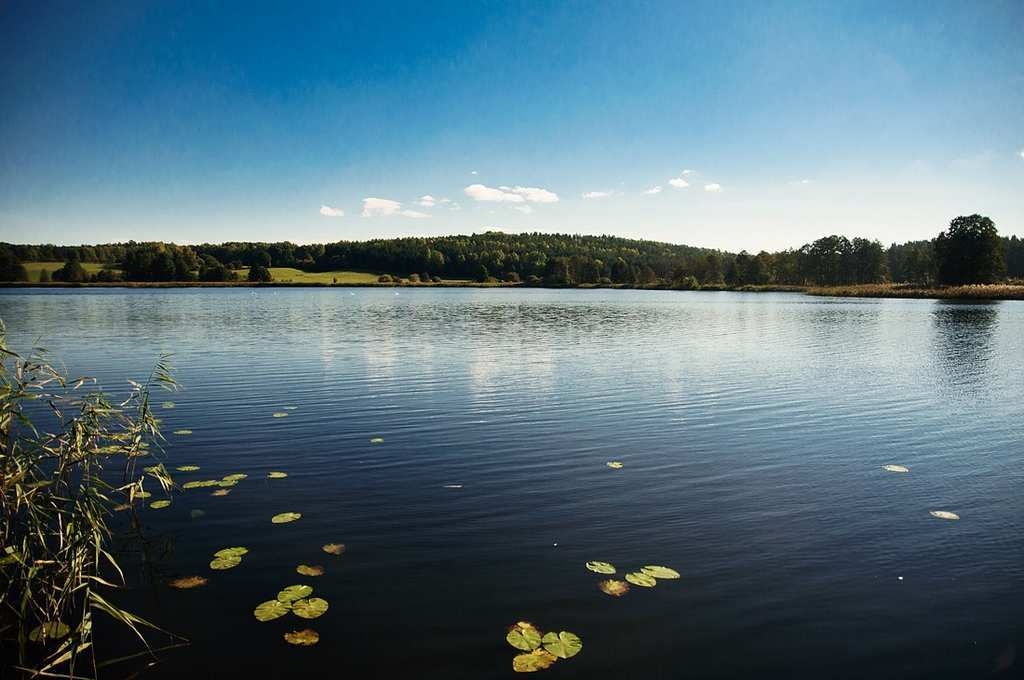 Działka Nad Jeziorem Ok Olsztyna 6309