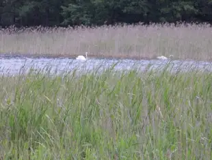 przyczepy kampingowe - zdjęcie 4