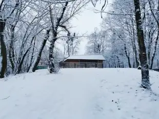 Działka z lokalem tuż koło linii brzegowej, Mazury - zdjęcie 3