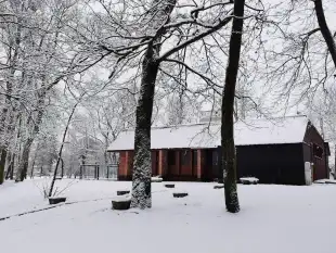 Działka z lokalem tuż koło linii brzegowej, Mazury - zdjęcie 1
