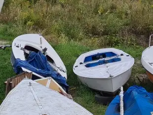 Kielzugvogel  - zdjęcie 1