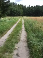 Sprzedam działkę w Karwiku k. Pisza - zdjęcie 3