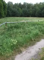 Sprzedam działkę w Karwiku k. Pisza - zdjęcie 1