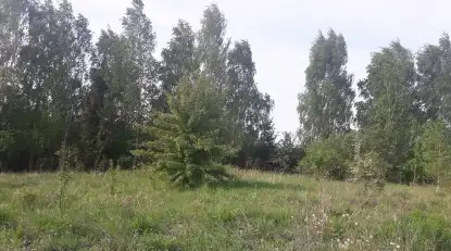 Działka budowlana na Mazurach Wilkasy k/Giżycka na sprzedaż - zdjęcie 17