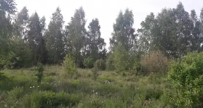 Działka budowlana na Mazurach Wilkasy k/Giżycka na sprzedaż - zdjęcie 15