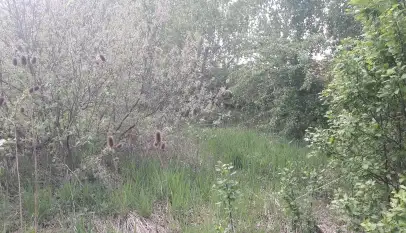 Działka budowlana na Mazurach Wilkasy k/Giżycka na sprzedaż - zdjęcie 11