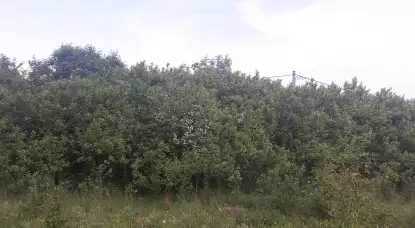 Działka budowlana na Mazurach Wilkasy k/Giżycka na sprzedaż - zdjęcie 10