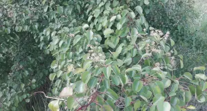 Działka budowlana na Mazurach Wilkasy k/Giżycka na sprzedaż - zdjęcie 9