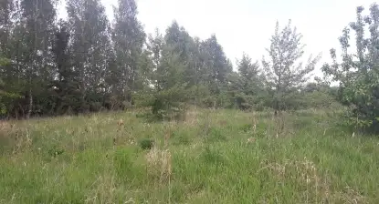 Działka budowlana na Mazurach Wilkasy k/Giżycka na sprzedaż - zdjęcie 5