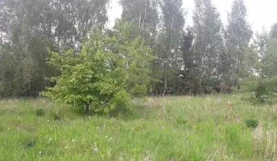 Działka budowlana na Mazurach Wilkasy k/Giżycka na sprzedaż - zdjęcie 4